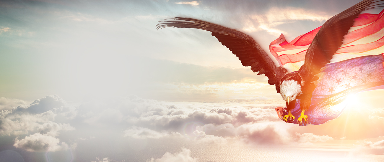A majestic bald eagle glides through the sky